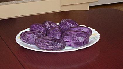Šiauliečio darže dera violetinės bulvės