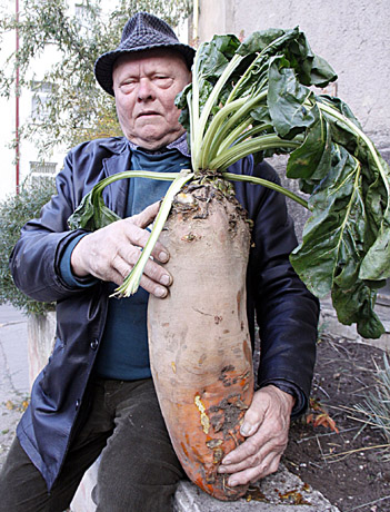 GĖRYBIŲ KONKURSAS GĖRYBIŲ KONKURSAS