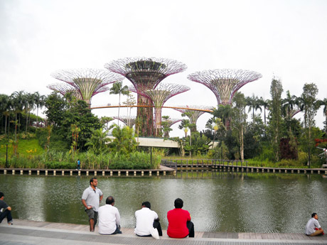 Singapūras: moderni keturių kultūrų sala Singapūras: moderni keturių kultūrų sala