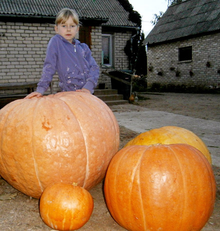 Milžinas svėrė per 100 kilogramų Milžinas svėrė per 100 kilogramų
