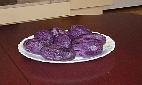 Šiauliečio darže dera violetinės bulvės Šiauliečio darže dera violetinės bulvės