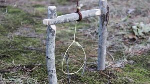 trap-triggers-figure-4-snare-paiute-deadfall-hunting-trapping-small-game-animal-survival-19